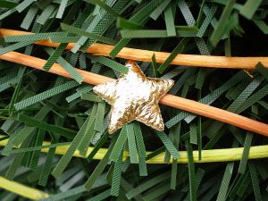 v�no�n� strome�ek na v�noce